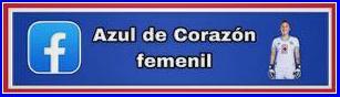 FACEBOOK AZUL DE CORAZÓN FEMENIL